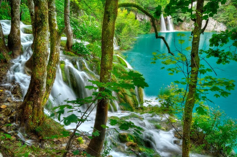 Waterfall in Forest — Green, Serene, Afternoon, Photograph, Trees, Lake, Moss