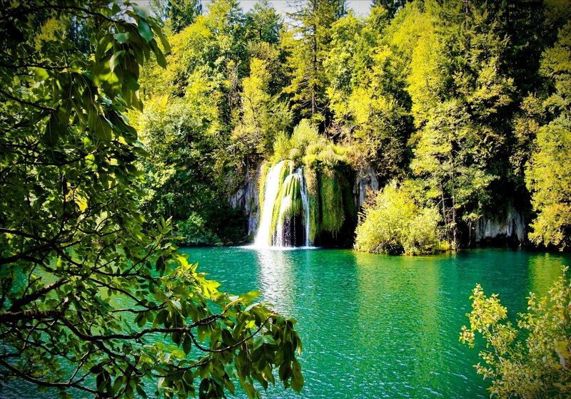 Waterfall in Forest — Green, Serene, Afternoon, Photograph, Trees, Lake, Rock