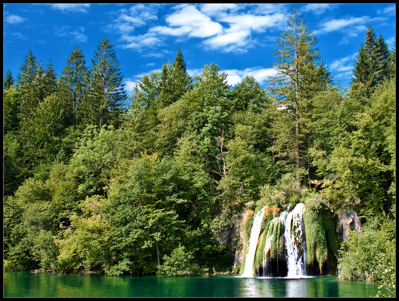 Waterfall in Forest — Green, Serene, Afternoon, Photograph, Trees, Lake