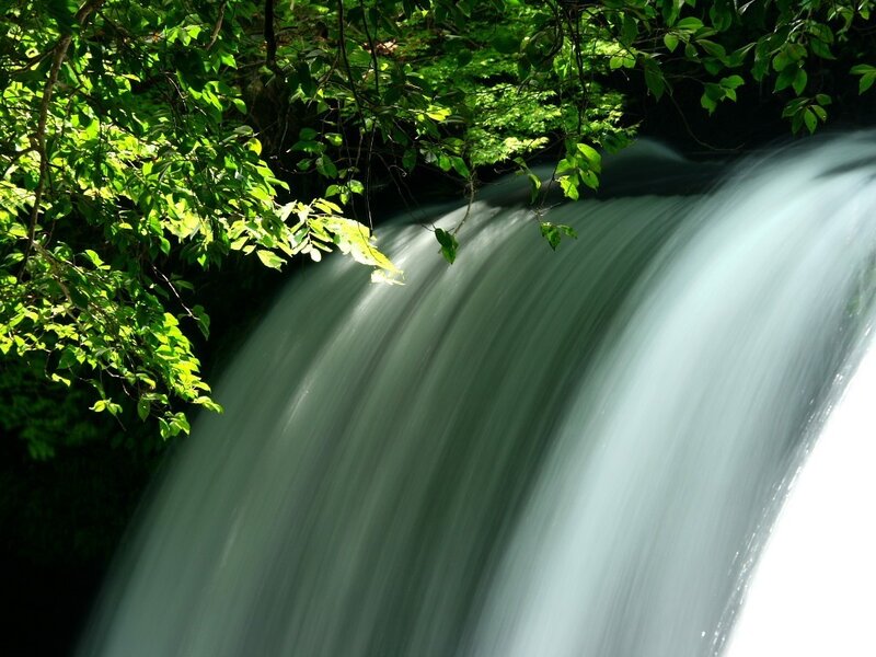 Waterfall in Forest — Green, Serene, Afternoon, Photograph, Trees, Leaves
