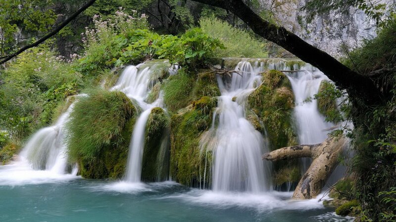 Waterfall in Forest — Green, Serene, Afternoon, Photograph, Trees, Moss, Pool, Rock