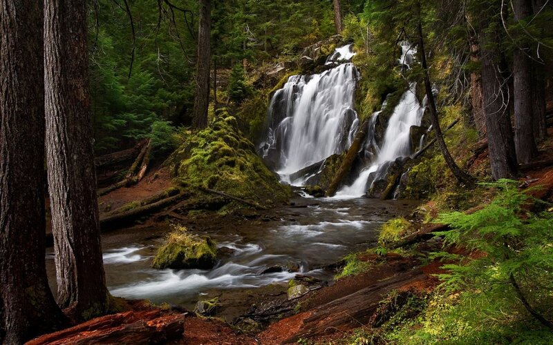Waterfall in Forest — Green, Serene, Afternoon, Photograph, Trees, Moss, River, Rocks