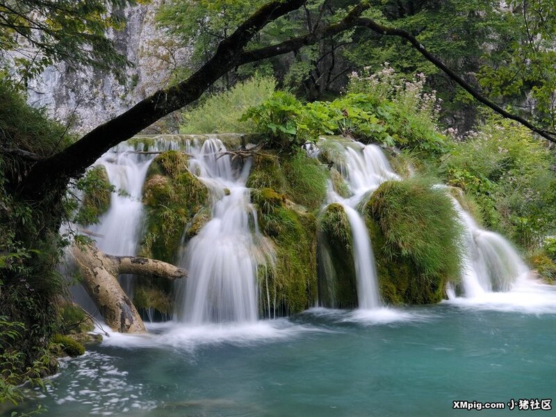 Waterfall in Forest — Green, Serene, Afternoon, Photograph, Trees, Moss, Rock
