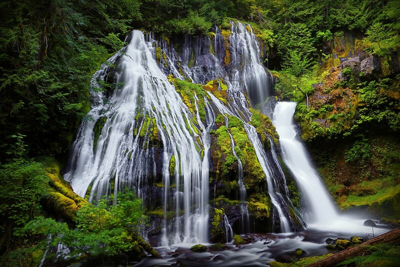 Waterfall in Forest — Green, Serene, Afternoon, Photograph, Trees, Moss, Rocks, River