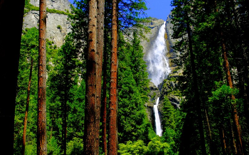 Waterfall in Forest — Green, Serene, Afternoon, Photograph, Trees, Mountain, Sky