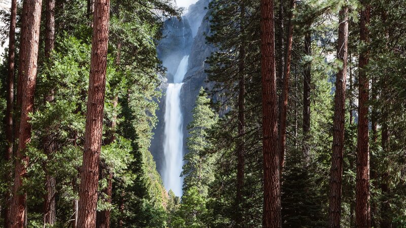 Waterfall in Forest — Green, Serene, Afternoon, Photograph, Trees, Mountain, Water