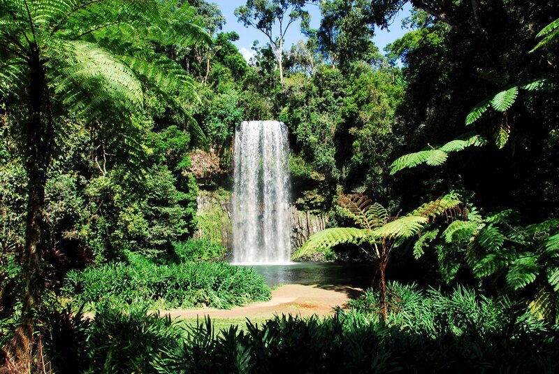 Waterfall in Forest — Green, Serene, Afternoon, Photograph, Trees, Plants