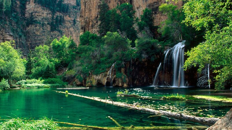 Waterfall in Forest — Green, Serene, Afternoon, Photograph, Trees, Pool, Cliffs