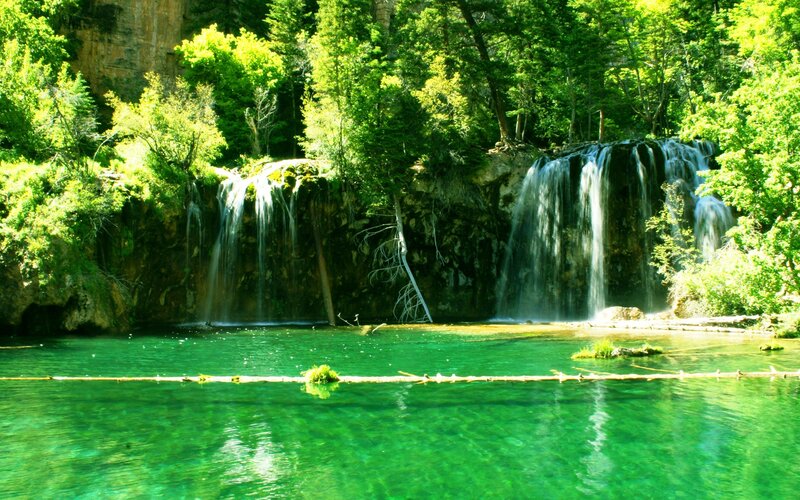 Waterfall in Forest — Green, Serene, Afternoon, Photograph, Trees, Pool, Rock, Blue, Brown
