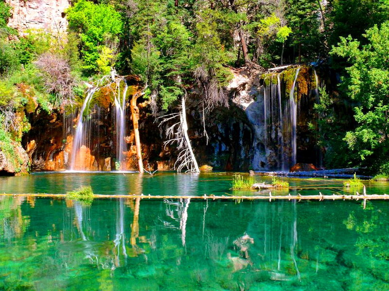 Waterfall in Forest — Green, Serene, Afternoon, Photograph, Trees, Pool, Rock, Log