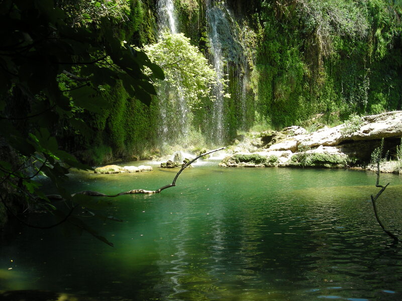 Waterfall in Forest — Green, Serene, Afternoon, Photograph, Trees, Pool, Rocks, Branch