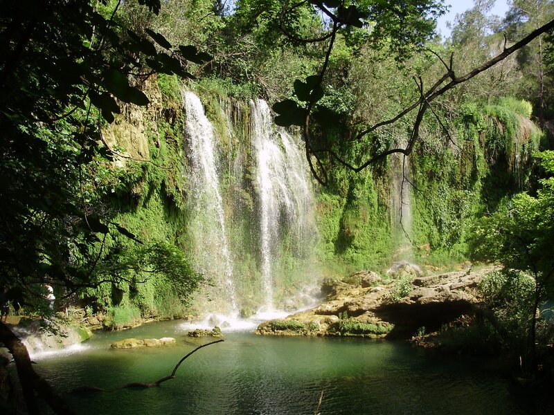 Waterfall in Forest — Green, Serene, Afternoon, Photograph, Trees, Pool, Rocks, Brown, White