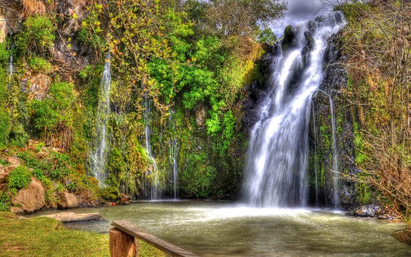 Waterfall in Forest — Green, Serene, Afternoon, Photograph, Trees, Pool, Rocks, Wooden Rail, Brown