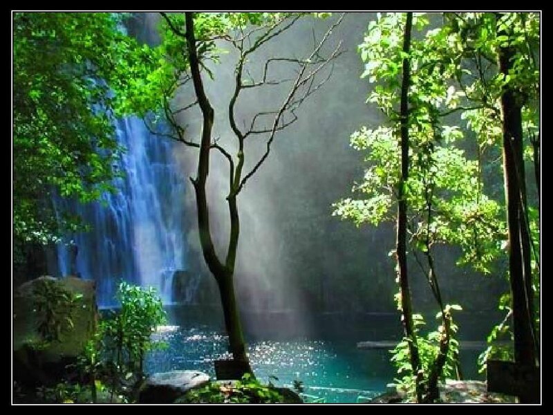 Waterfall in Forest — Green, Serene, Afternoon, Photograph, Trees, Pool