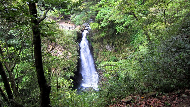 Waterfall in Forest — Green, Serene, Afternoon, Photograph, Trees, River, Fence