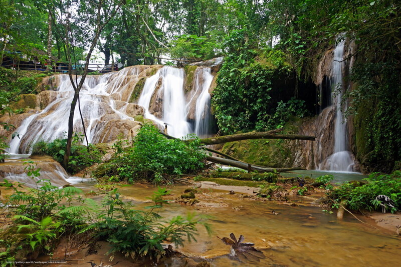 Waterfall in Forest — Green, Serene, Afternoon, Photograph, Trees, River, Rock, Fallen Log