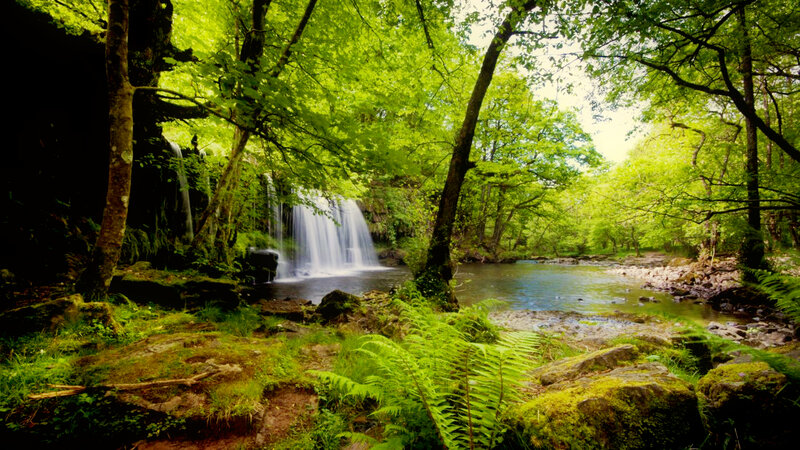 Waterfall in Forest — Green, Serene, Afternoon, Photograph, Trees, River, Rocks, Ferns
