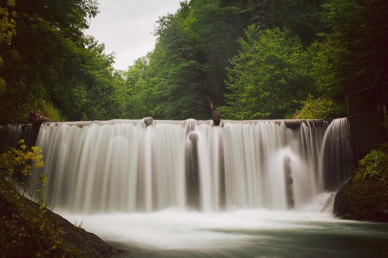 Waterfall in Forest — Green, Serene, Afternoon, Photograph, Trees, River, Rocks, Flowers