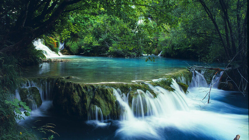 Waterfall in Forest — Green, Serene, Afternoon, Photograph, Trees, River, Rocks, Moss