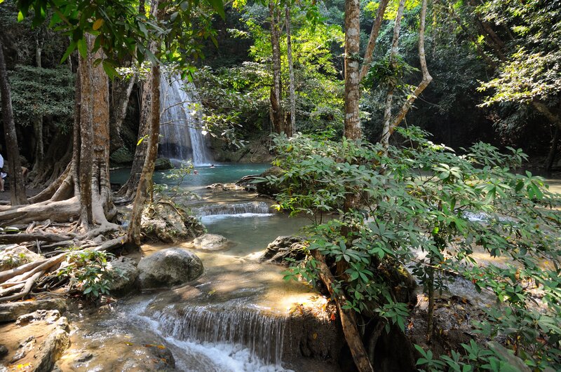 Waterfall in Forest — Green, Serene, Afternoon, Photograph, Trees, River, Rocks, People