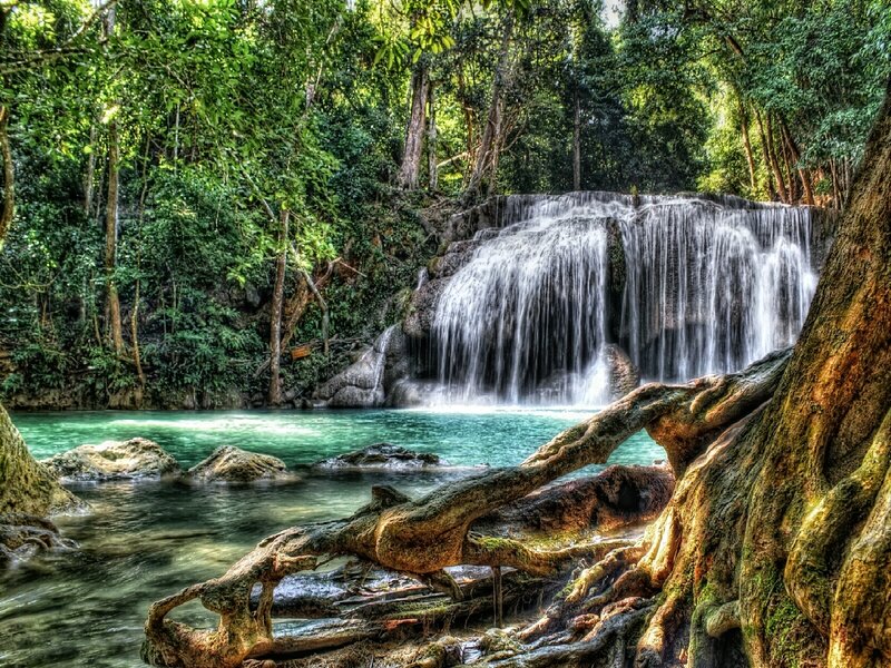 Waterfall in Forest — Green, Serene, Afternoon, Photograph, Trees, River, Rocks, Roots
