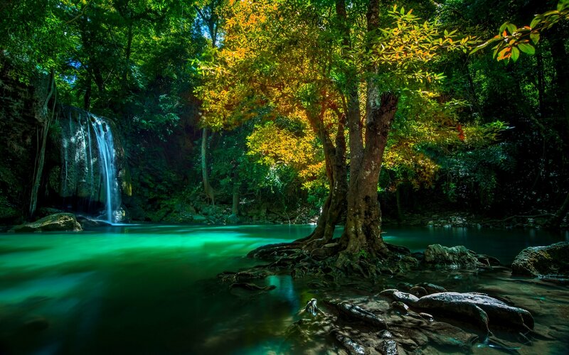Waterfall in Forest — Green, Serene, Afternoon, Photograph, Trees, River, Rocks, Sunlight