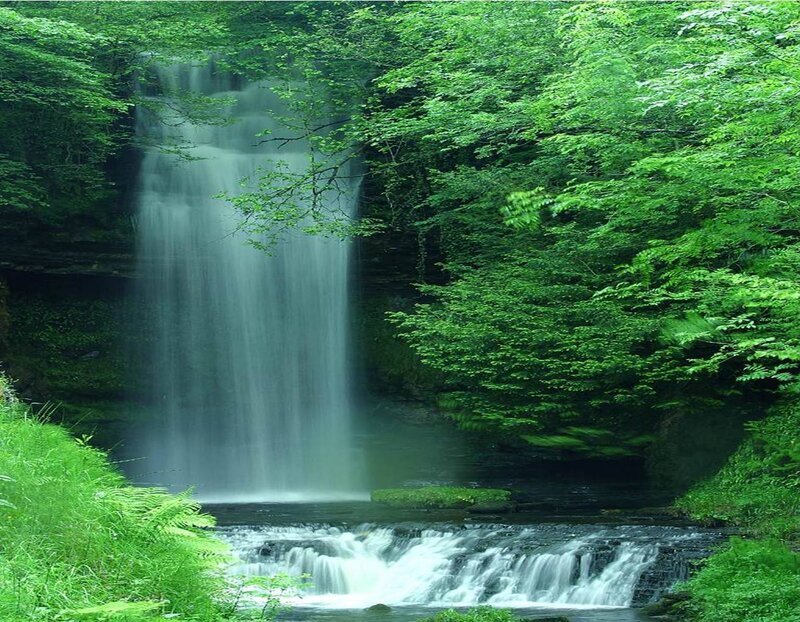 Waterfall in Forest — Green, Serene, Afternoon, Photograph, Trees, River, Rocks, White, Gray