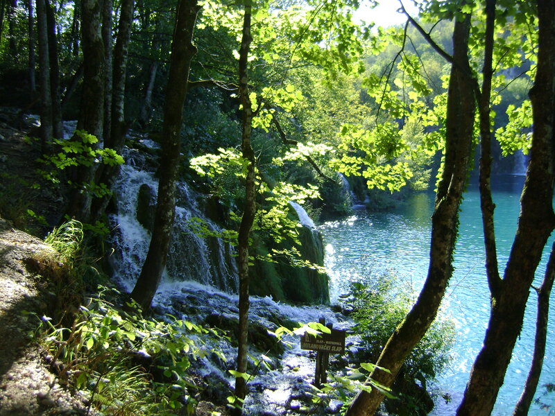 Waterfall in Forest — Green, Serene, Afternoon, Photograph, Trees, River, Sign