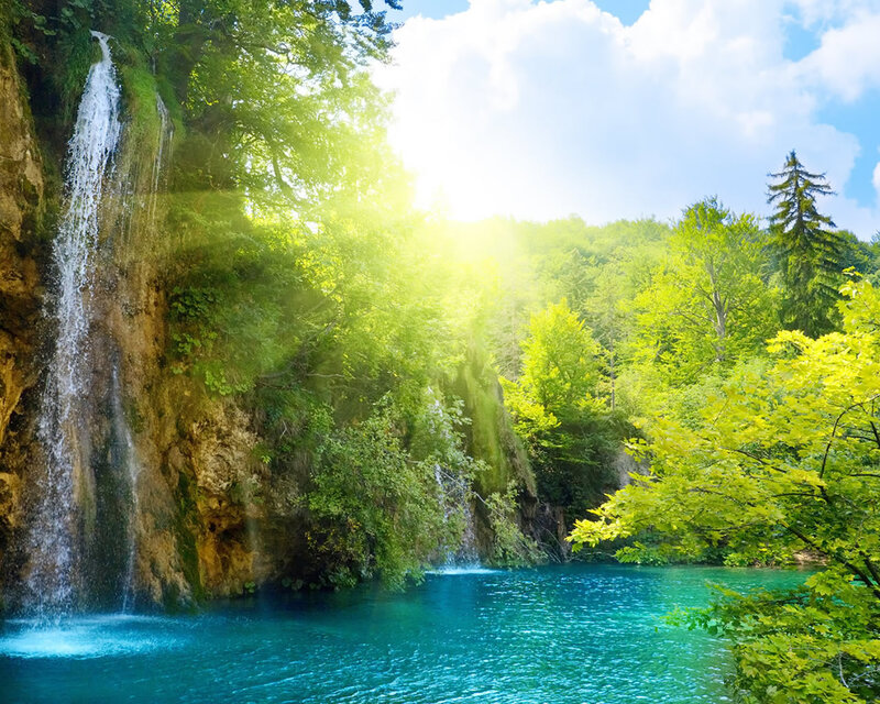 Waterfall in Forest — Green, Serene, Afternoon, Photograph, Trees, River, Sunlight, Blue, White