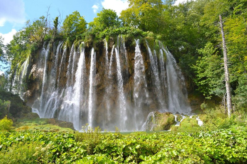 Waterfall in Forest — Green, Serene, Afternoon, Photograph, Trees, Rock Face