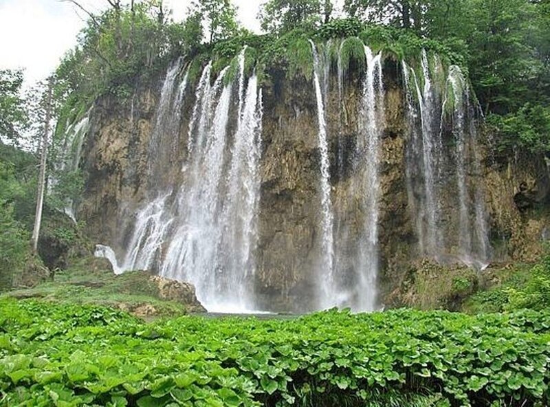 Waterfall in Forest — Green, Serene, Afternoon, Photograph, Trees, Rock, Plants