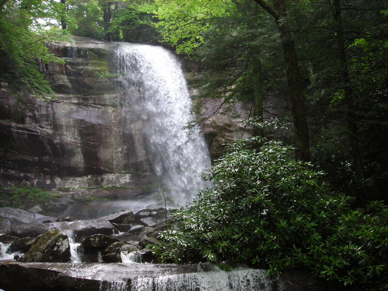 Waterfall in Forest — Green, Serene, Afternoon, Photograph, Trees, Rocks, Bushes