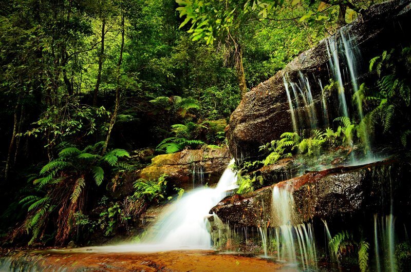 Waterfall in Forest — Green, Serene, Afternoon, Photograph, Trees, Rocks, Ferns
