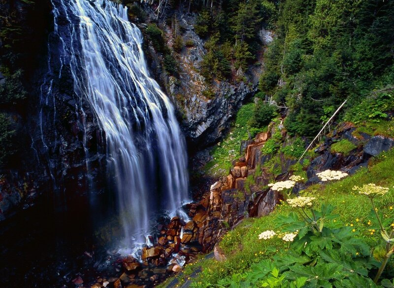 Waterfall in Forest — Green, Serene, Afternoon, Photograph, Trees, Rocks, Flowers
