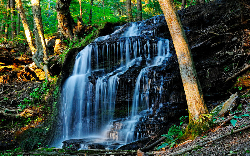 Waterfall in Forest — Green, Serene, Afternoon, Photograph, Trees, Rocks, Moss, Brown, Blue