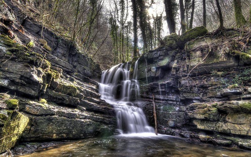 Waterfall in Forest — Green, Serene, Afternoon, Photograph, Trees, Rocks, Moss, Brown, Gray