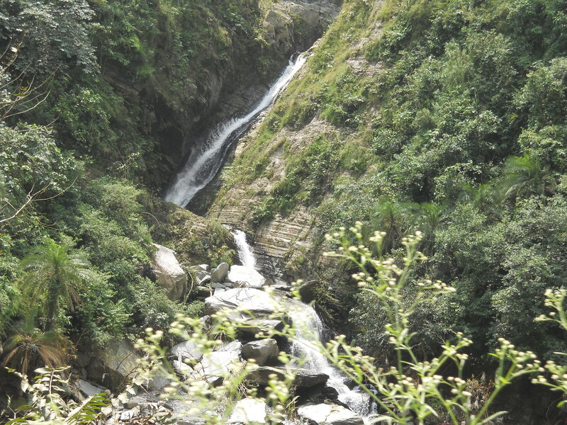 Waterfall in Forest — Green, Serene, Afternoon, Photograph, Trees, Rocks, Plants