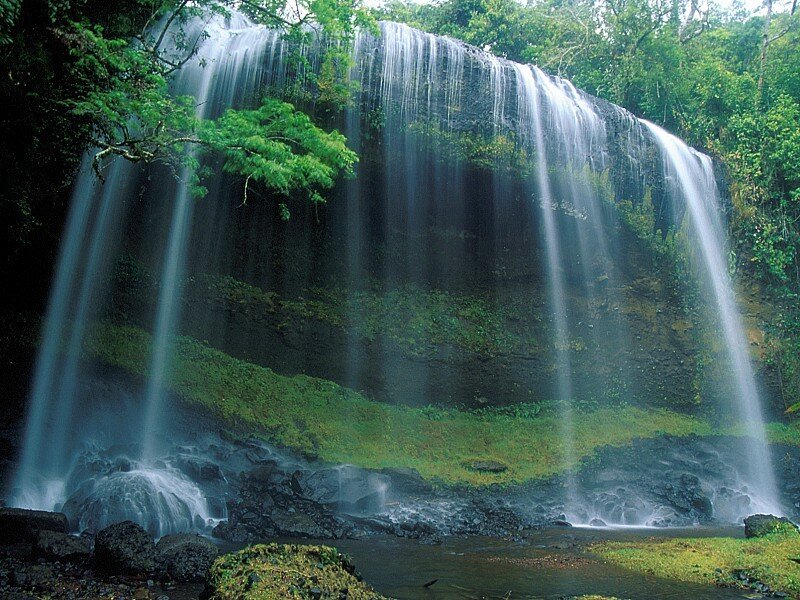 Waterfall in Forest — Green, Serene, Afternoon, Photograph, Trees, Rocks, Pool, White, Black