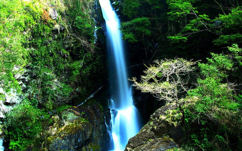 Waterfall in Forest — Green, Serene, Afternoon, Photograph, Trees, Rocks, Stream, Blue, Black