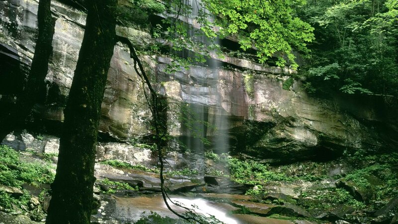 Waterfall in Forest — Green, Serene, Afternoon, Photograph, Trees, Rocks, Stream, Brown, Gray