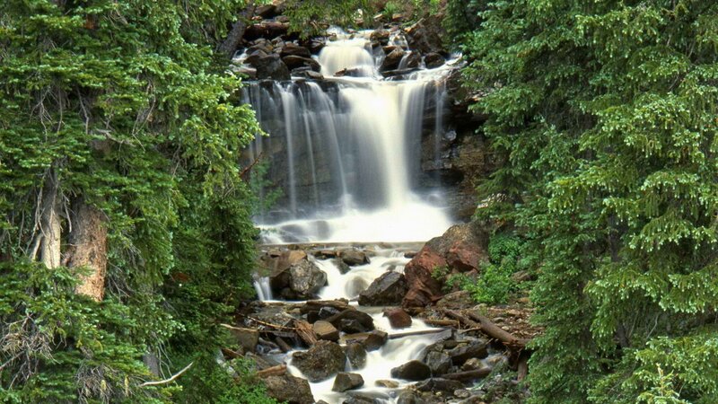 Waterfall in Forest — Green, Serene, Afternoon, Photograph, Trees, Rocks, Stream, White, Brown