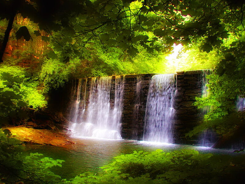 Waterfall in Forest — Green, Serene, Afternoon, Photograph, Trees, Stream