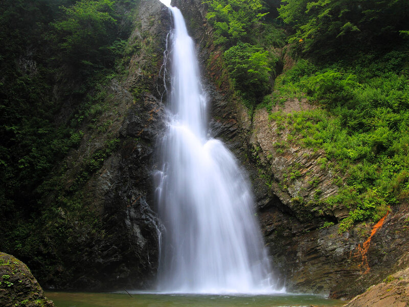 Waterfall in Forest — Green, Serene, Afternoon
