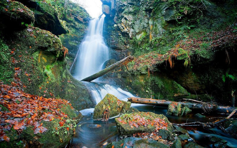Waterfall in Forest — Green, Serene, Autumn, Photograph, Moss, Fallen Leaves