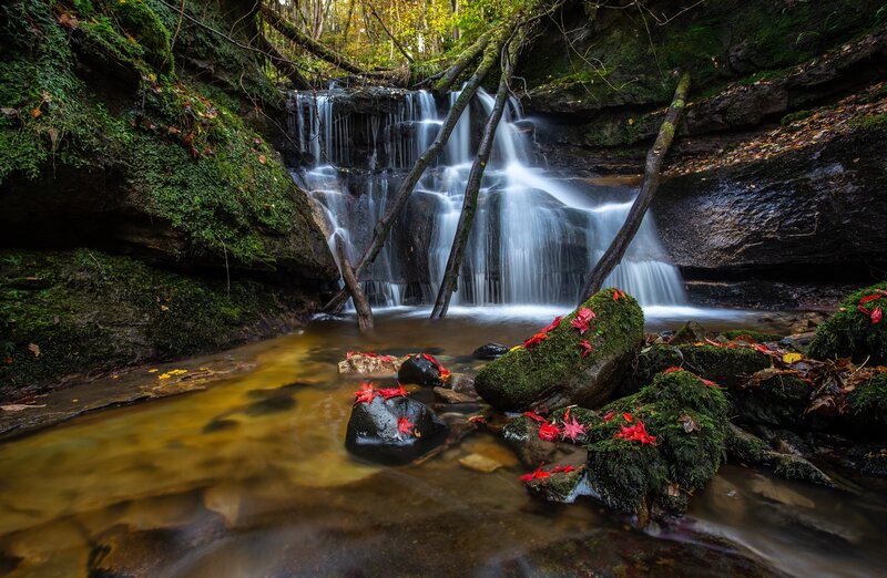 Waterfall in Forest — Green, Serene, Autumn, Photograph, Moss, Leaves, Rocks