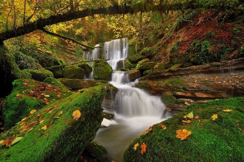 Waterfall in Forest — Green, Serene, Autumn, Photograph, Moss, Leaves