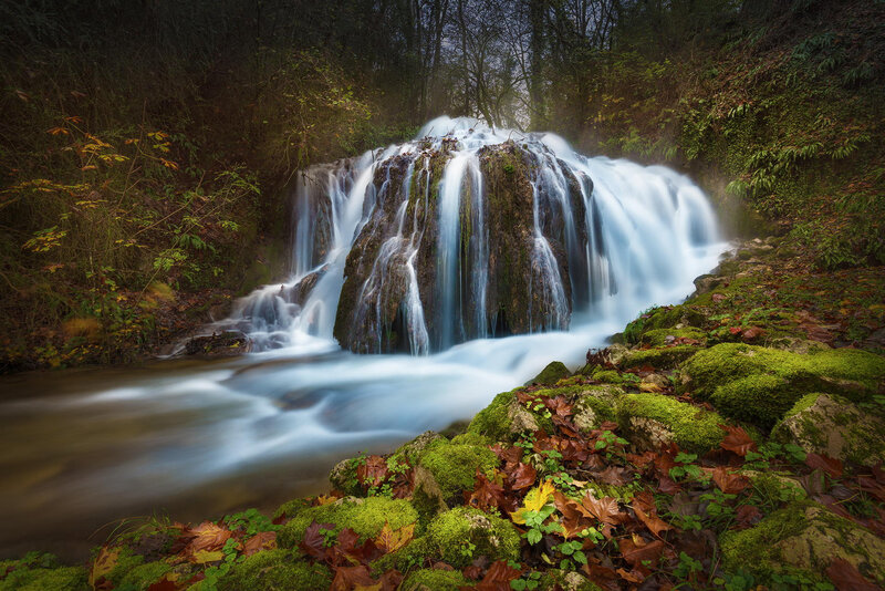 Waterfall in Forest — Green, Serene, Autumn, Photograph, Moss, Leaves, Trees