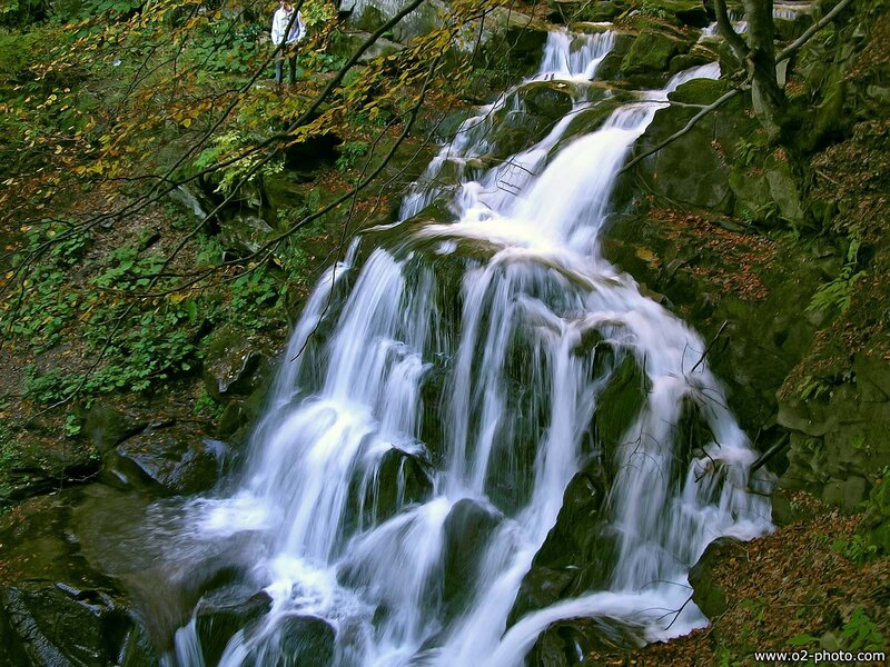 Waterfall in Forest — Green, Serene, Autumn, Photograph, Person