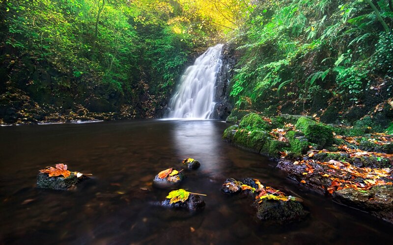Waterfall in Forest — Green, Serene, Autumn, Photograph, River, Rocks, Leaves