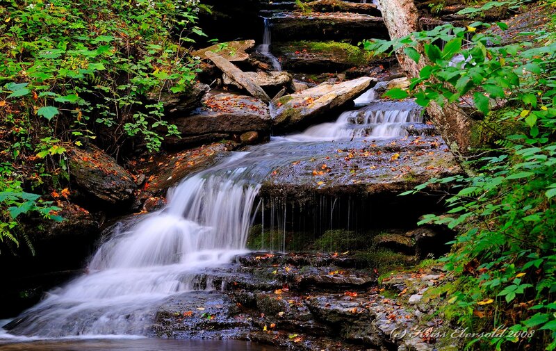 Waterfall in Forest — Green, Serene, Autumn, Photograph, Rocks, Leaves